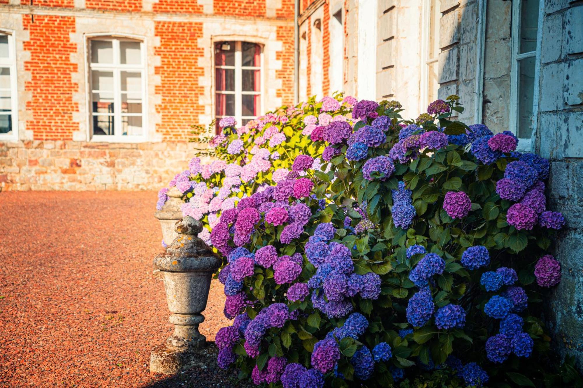 Chambres D'Hotes & Gites Du Chateau De Grand Rullecourt Eksteriør bilde