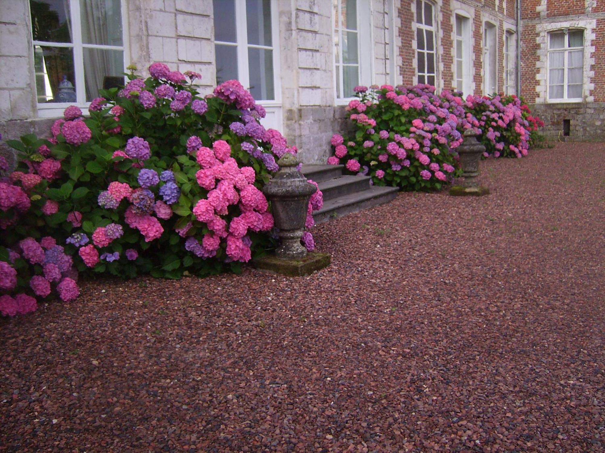 Chambres D'Hotes & Gites Du Chateau De Grand Rullecourt Eksteriør bilde