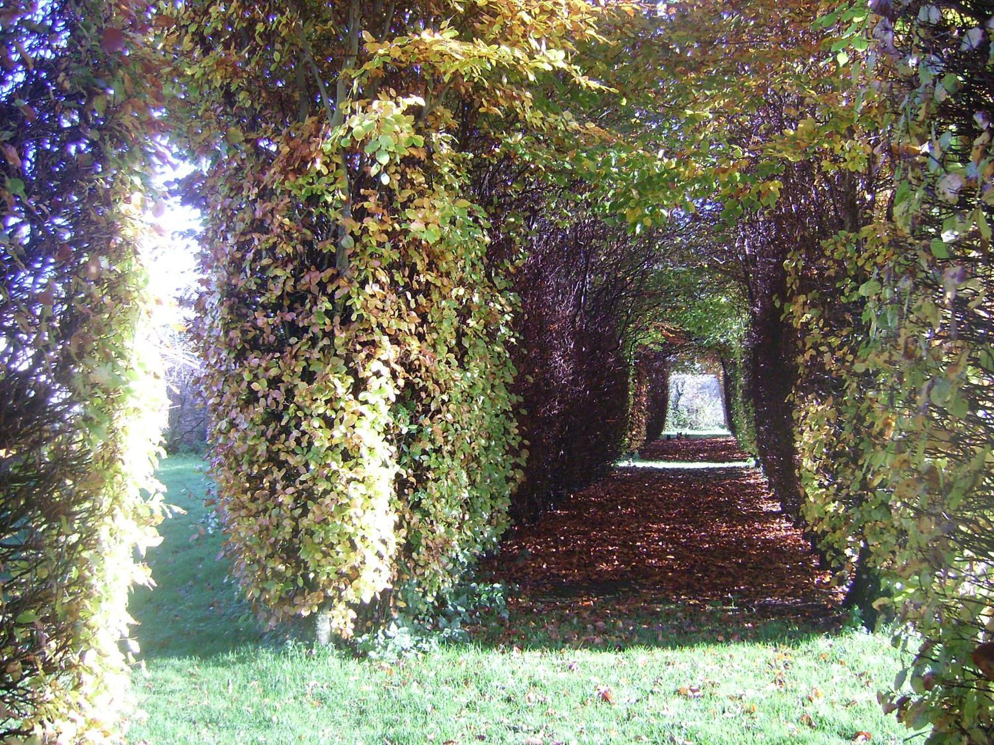 Chambres D'Hotes & Gites Du Chateau De Grand Rullecourt Eksteriør bilde